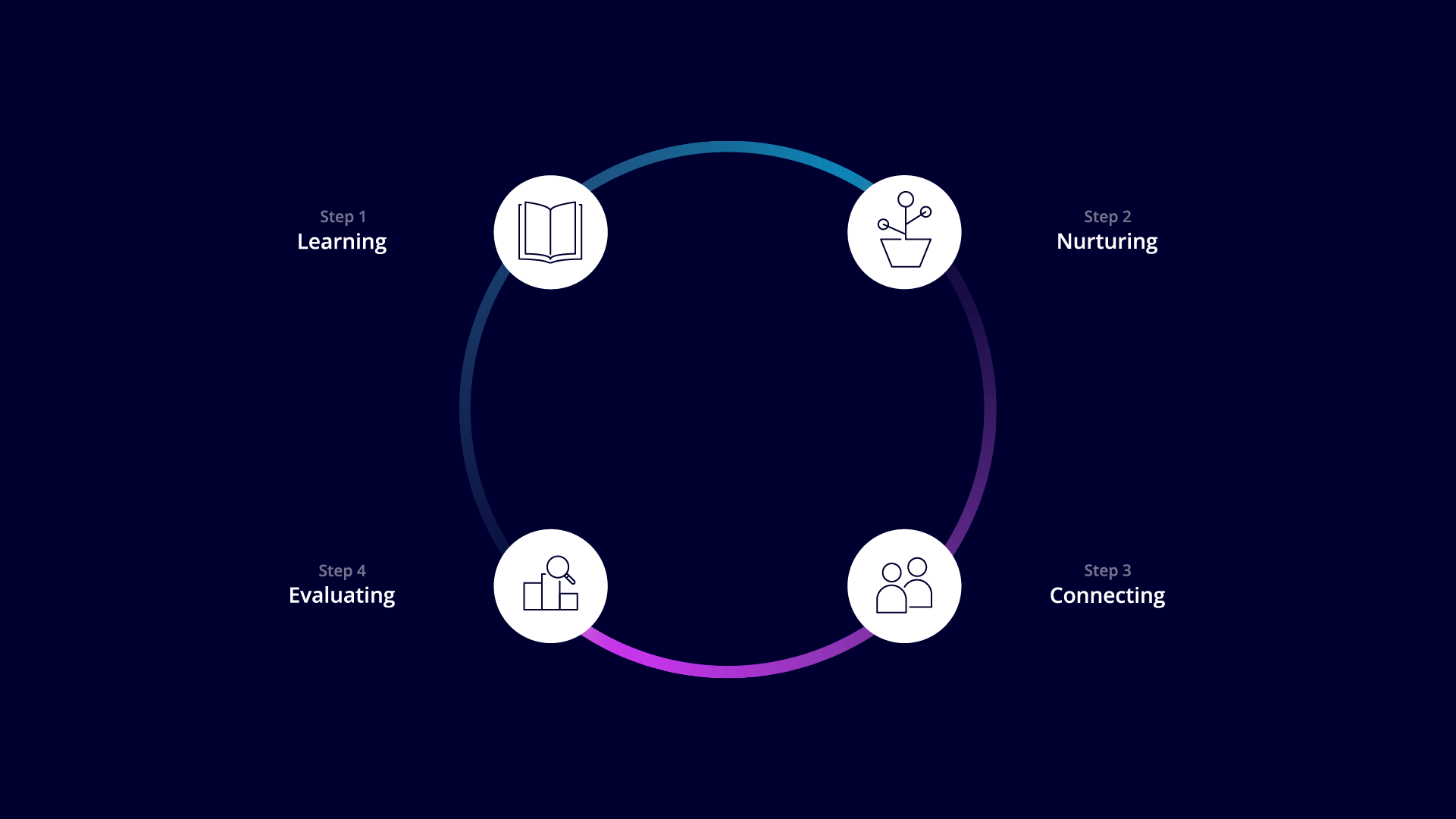 IIRIS 4 step guide diagram